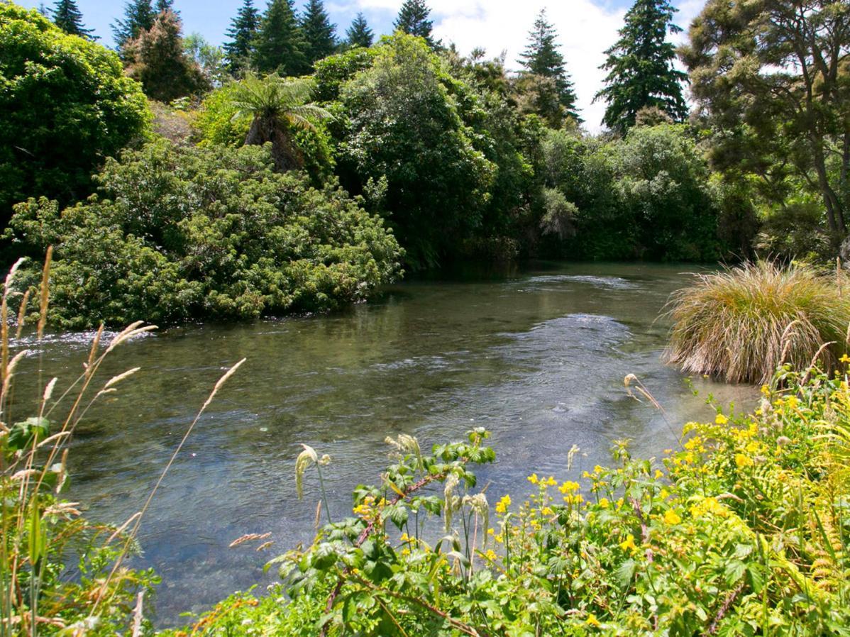 Bellbird Cottage - Lake Taupo Bach Waitahanui Exterior photo